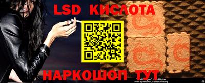 МДПВ Камышлов