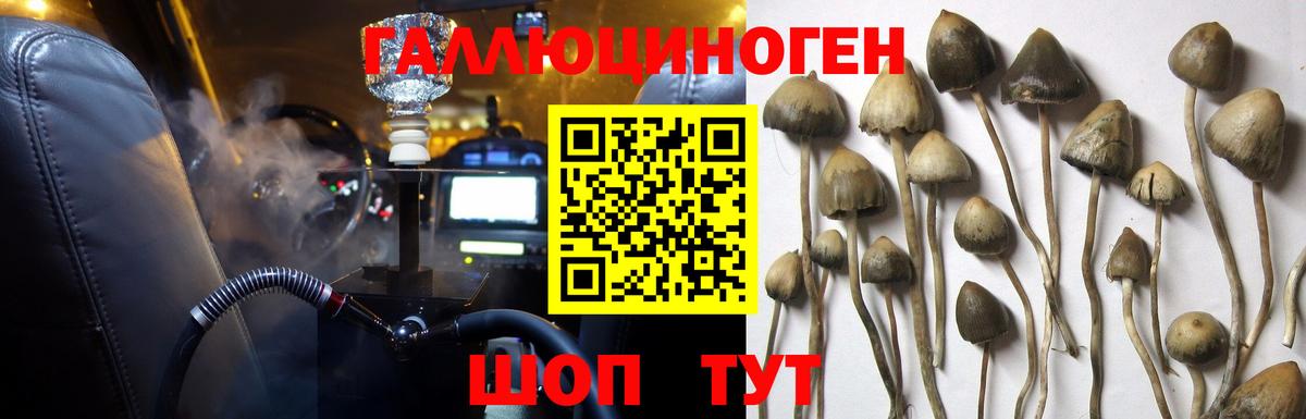 Галлюциногенные грибы GOLDEN TEACHER  Галлюциногенные грибы GOLDEN TEACHER  Вход с VPN  Крымск 
